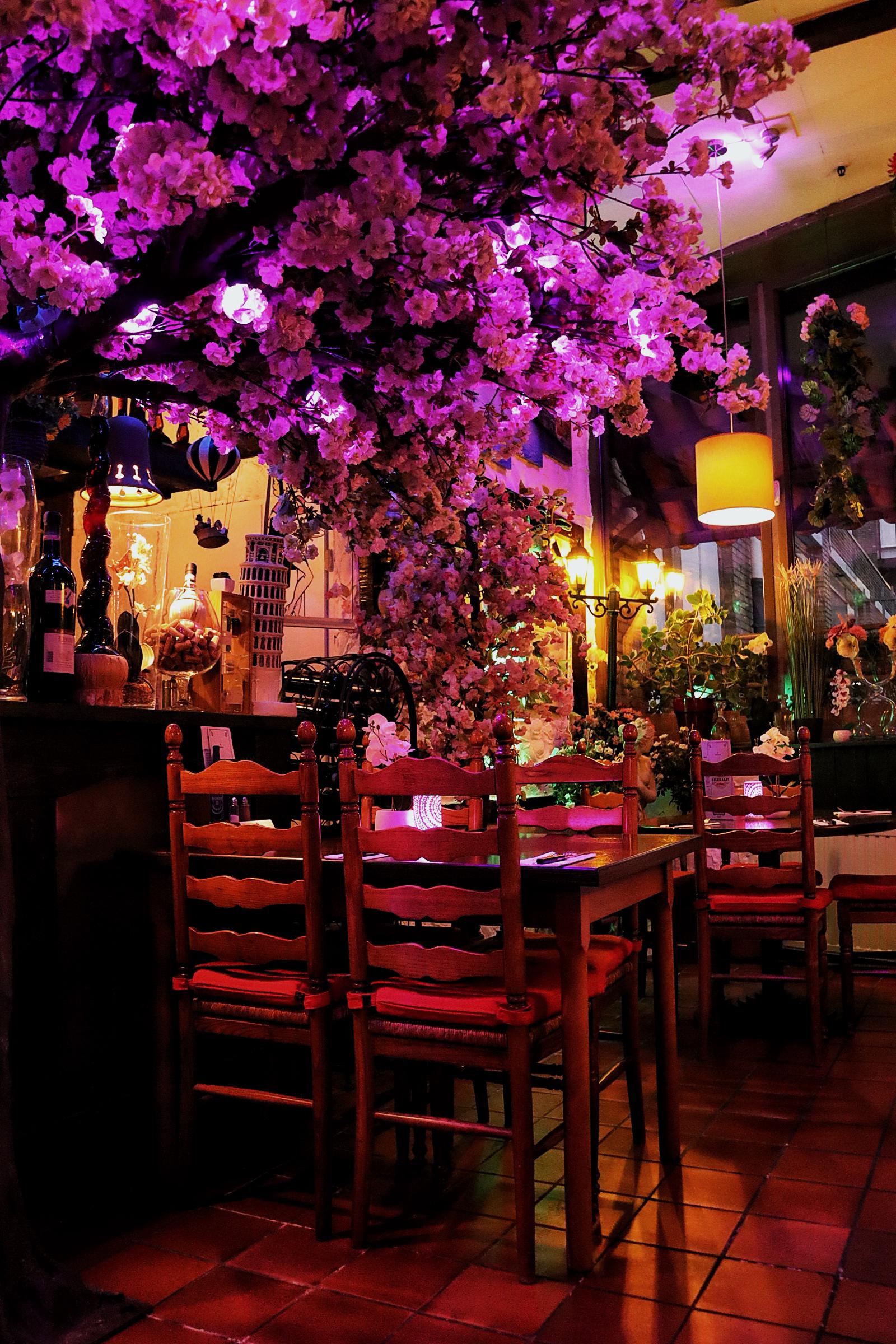 Intieme eetruimte Restaurant Romagna - Bloesembomen en warme Italiaanse sfeerverlichting