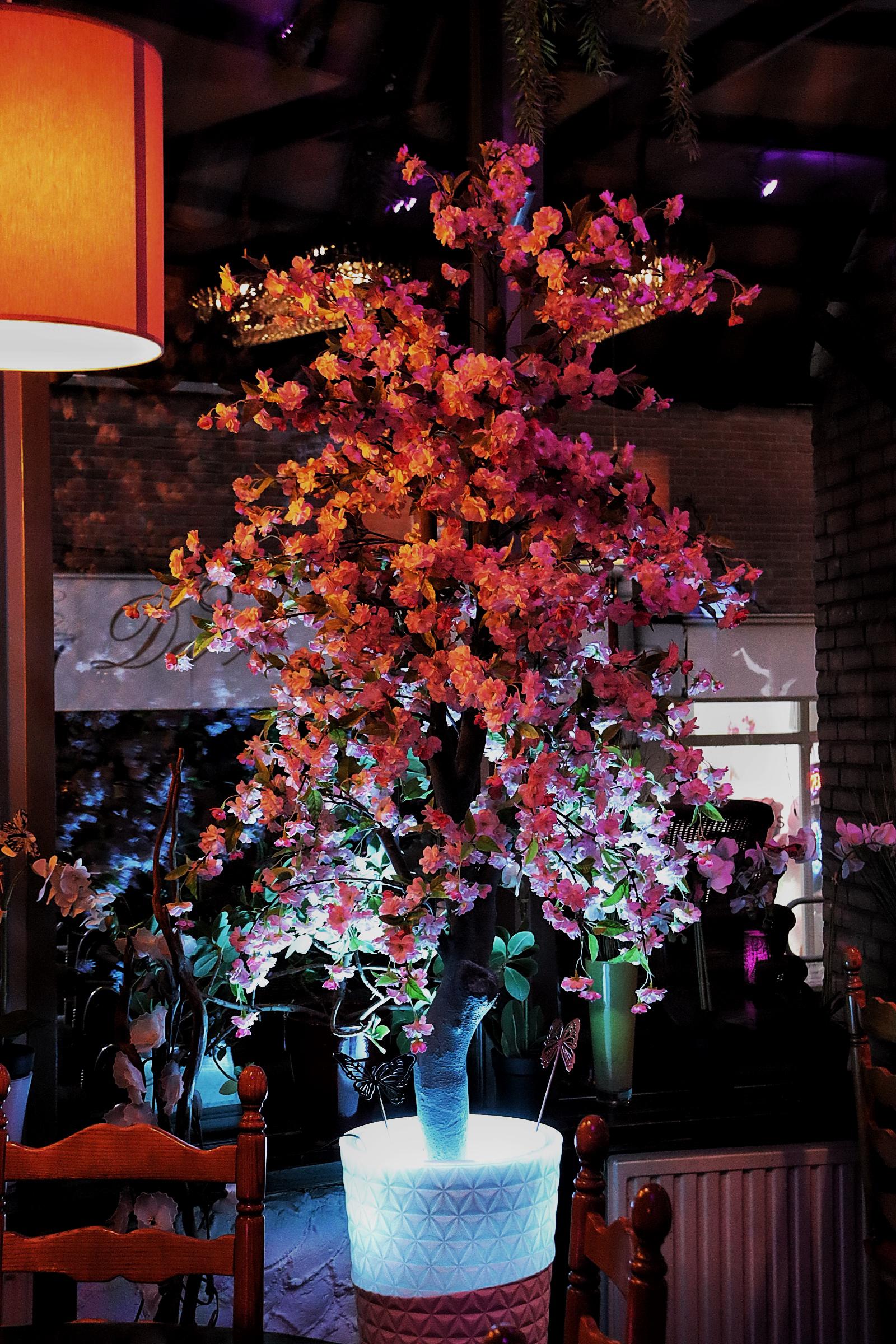Interieur Restaurant Romagna Zoetermeer - Verlichte bloesemboom tussen de tafels